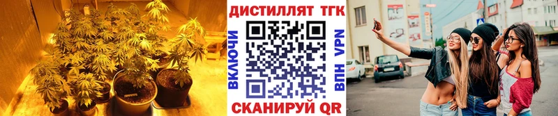 Дистиллят ТГК THC oil  Барнаул 