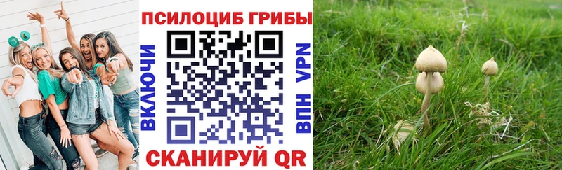 Галлюциногенные грибы прущие грибы  хочу   Барнаул 